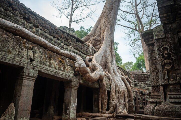 Hidden Gems of Siem Reap Private Tour & Customizable