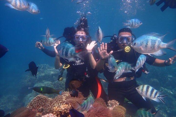 Expérience de plongée sous-marine pour les plongeurs non certifiés à Nha Trang