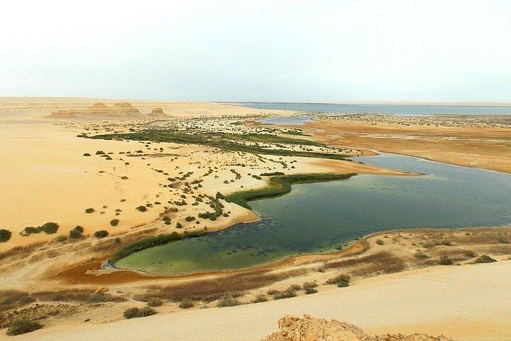 2-daagse tour Wadi Al Rian met ophaalservice vanuit Caïro