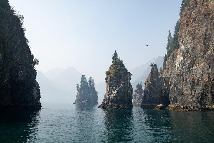 Visite du parc national des fjords Kenai au départ de Seward