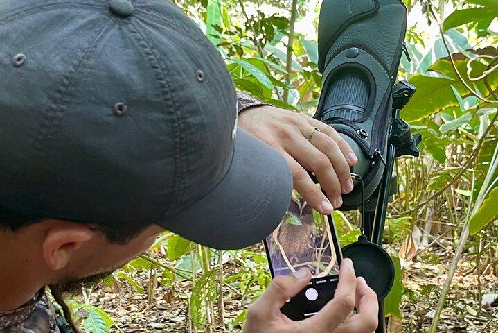 Manuel Antonio Esquipulas Birdwatching Tour