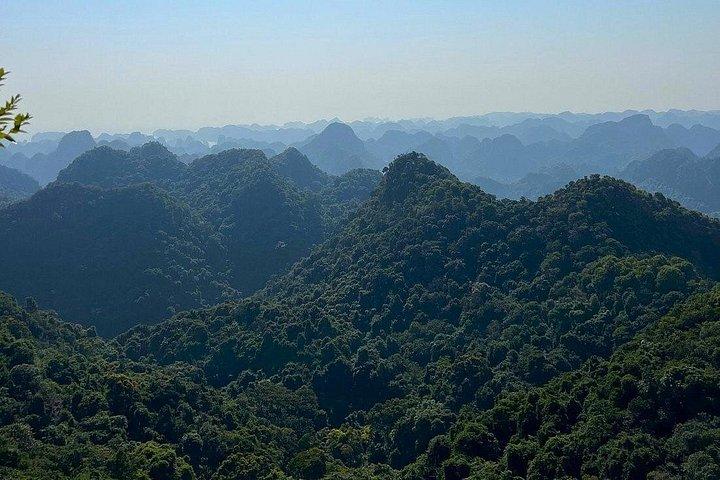 ハノイ-カットバ 2D1N 旅行: カットバ国立公園、ベトハイ、ランハー湾