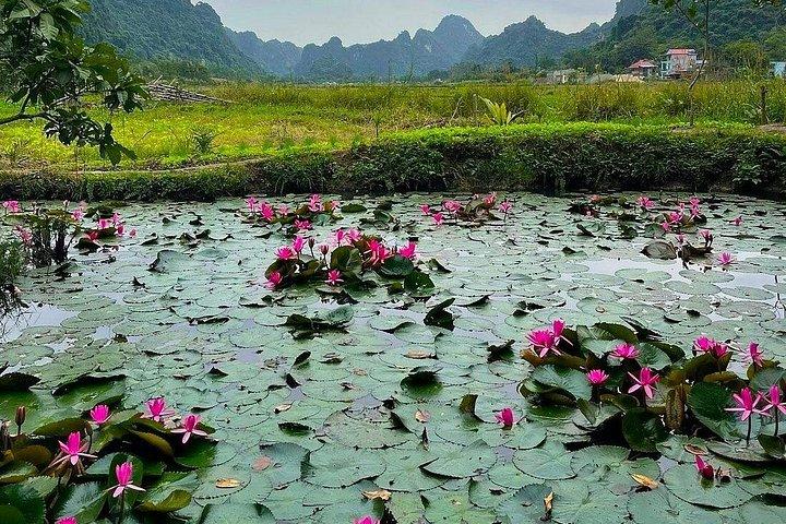 ハノイ-カットバ 2D1N 旅行: カットバ国立公園、ベトハイ、ランハー湾