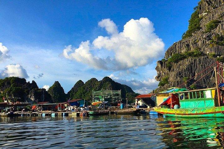 ハノイ-カットバ 2D1N 旅行: カットバ国立公園、ベトハイ、ランハー湾