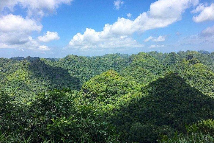 ハノイ-カットバ 2D1N 旅行: カットバ国立公園、ベトハイ、ランハー湾