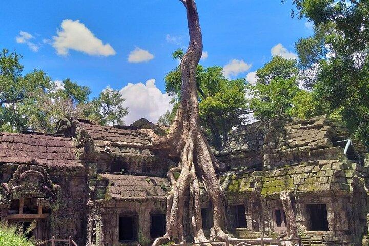 Highlight of Angkor Temples 6 Days Cambodia Tour