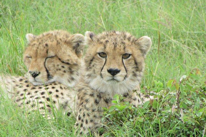 7 jours d'aventure au Kenya