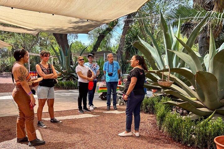 Teotihuacán Guided Tour