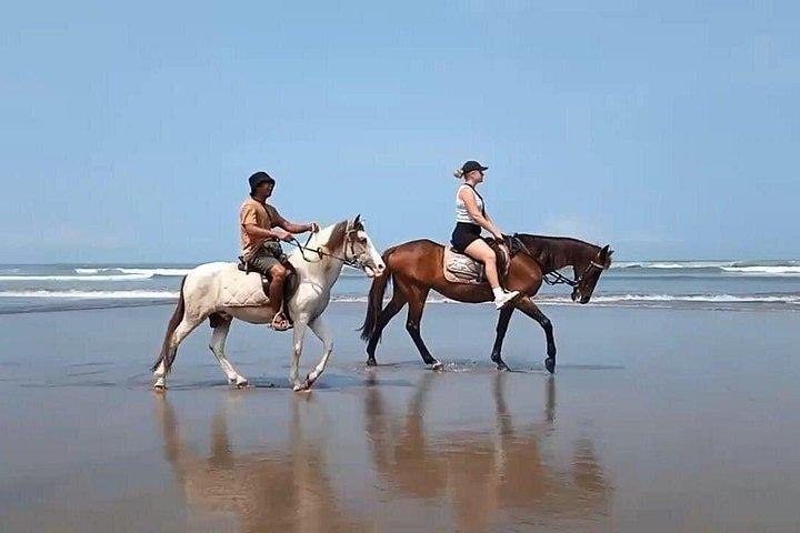Seminyak Bali Hest ridning på stranden