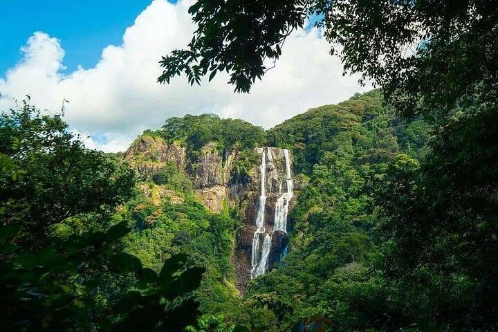 3 - Day Safari : Mikumi, Udzungwa NP & Maasai Boma (SGR naar Morogoro)