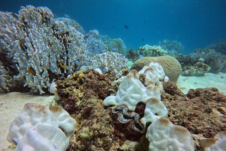 Phuket: PADI Discover Scuba Diving 1 beach dive