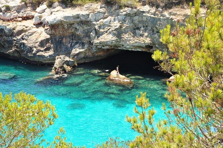 Paddle, snorkeling, guide et équipement inclus.