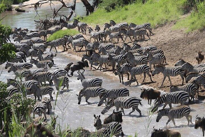 7-daagse Kenia-safaritour vanuit Nairobi