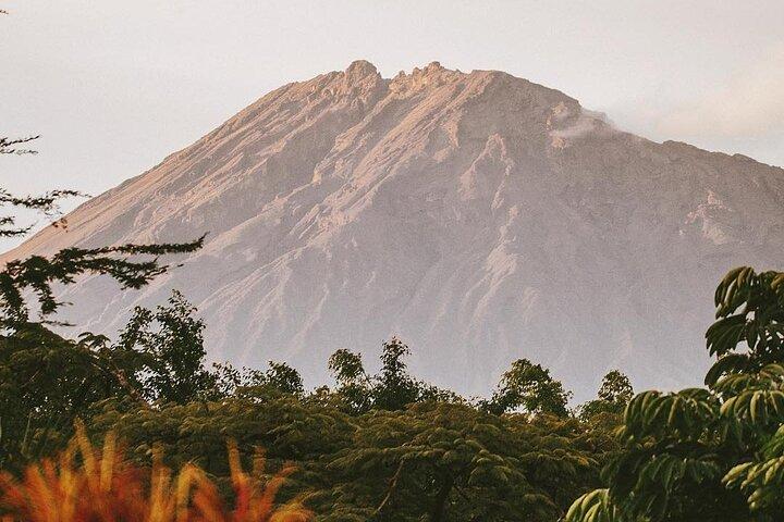 Dolda Arusha vattenfall, by och kaffe tur (all-inclusive)