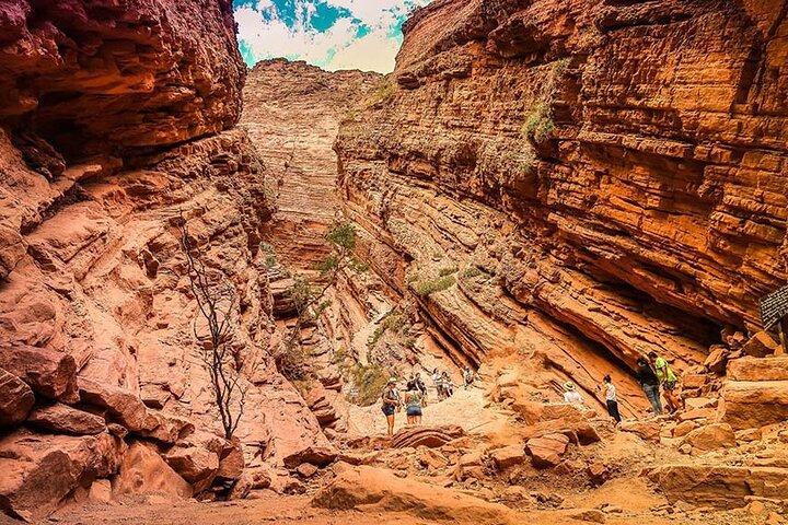 Excursion to Cafayate & Wine Country from Salta