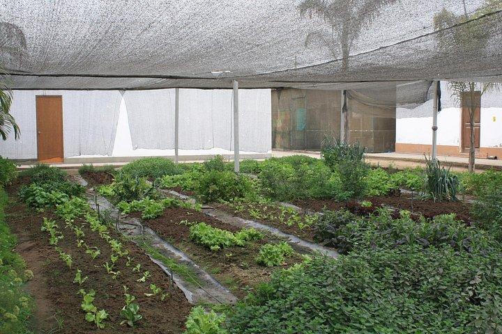Countryside Hacienda Visit