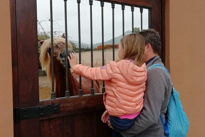 Countryside Hacienda Visit