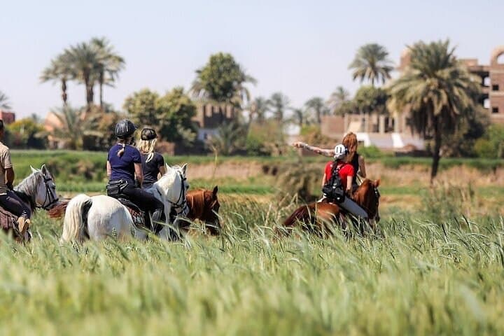 Private Horse ride Adventure in Luxor with professional guide
