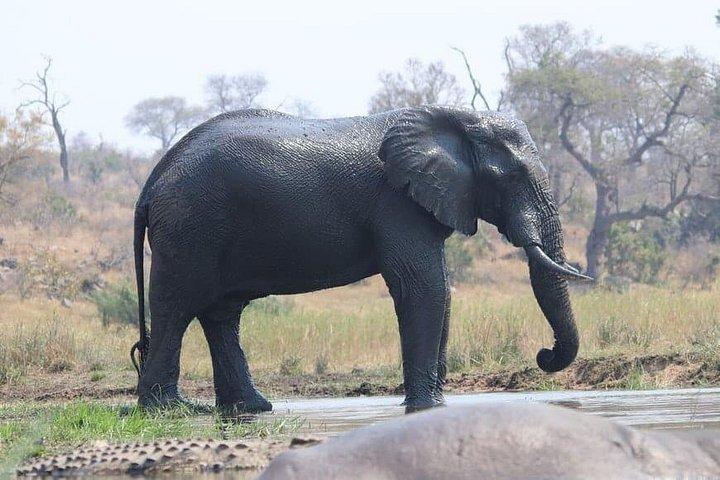 Chobe Day Trip -Botswana