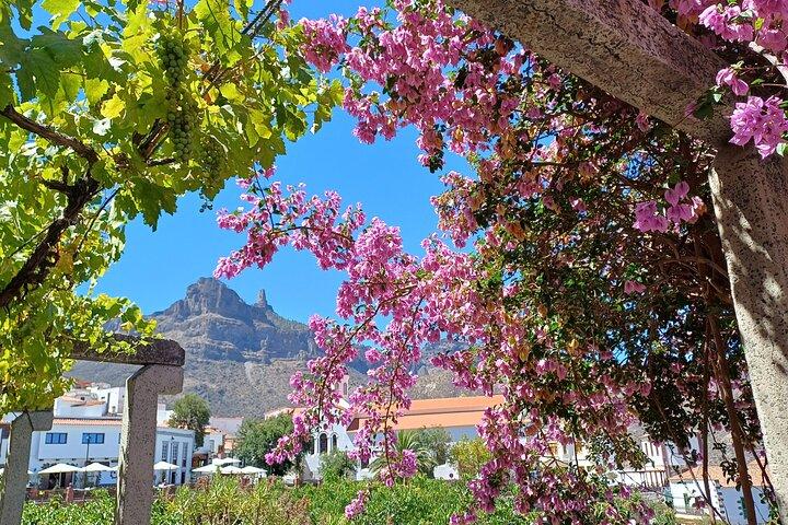 Gran Canaria points forts & joyaux cachés avec Guide local Sky Rebels