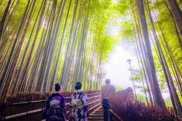 Destaques de Kyoto e jóias escondidas na natureza (Guia Privado de Van Eng)