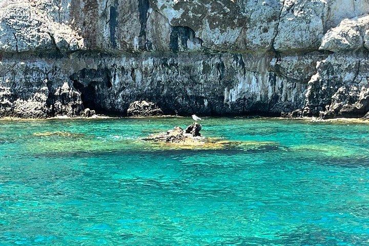 セーリングカタマランデイクルーズ - ロードス島、ランチとドリンク付き