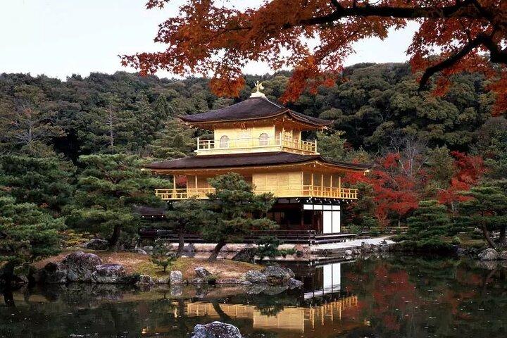 Excursión al Parque Nara del Templo Kinkakuji de Arashiyama desde Osaka y Kioto