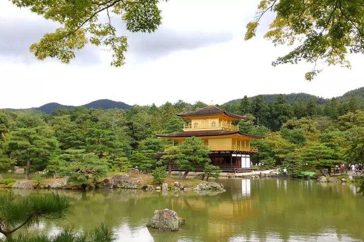 Excursión al Parque Nara del Templo Kinkakuji de Arashiyama desde Osaka y Kioto