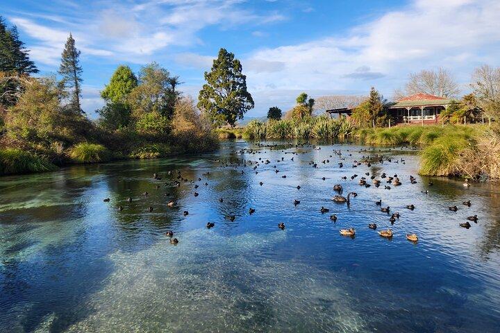 Visite privée de Rotorua + Blue Springs + WaiOtapu + forêt de séquoias