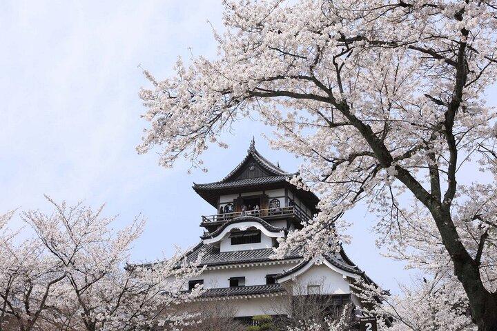 De Nagoya : Épées de samouraï et château d'Inuyama Visite privée