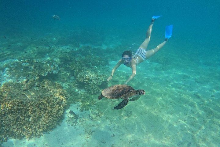 マスカットのアド・デイマニヤット諸島でのシュノーケリング体験