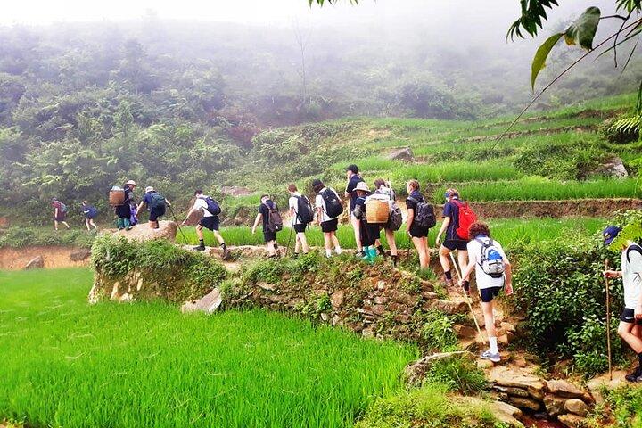 Sapa Lokal vandring till risterrasser, traditionell by