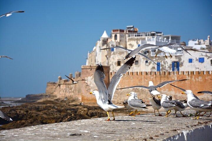 Heldagsutflykt till Essaouira från Marrakech