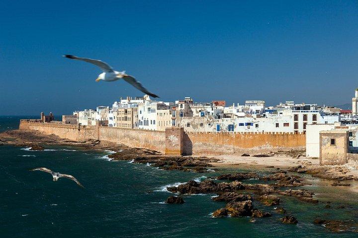 Excursion d'une Journée Complète à Essaouira depuis Marrakech