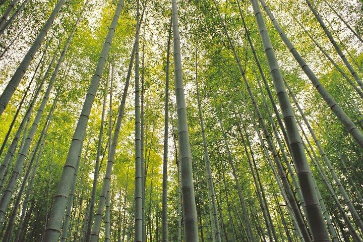 歴史ある中山道ハイキング【名古屋発日帰りツアー】