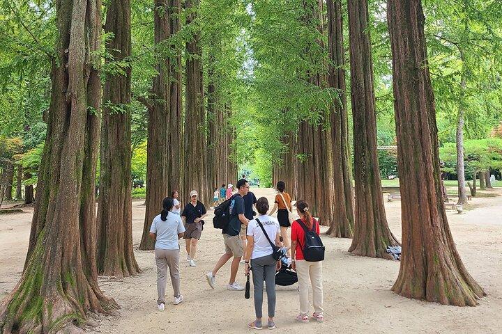 Scenic Escape: Nami Island, Garden of Morning Calm og Rail Bike