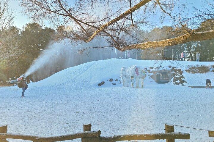 美しい景色を楽しみながらの旅：南怡島、アチムゴヨ樹木園、レールバイク