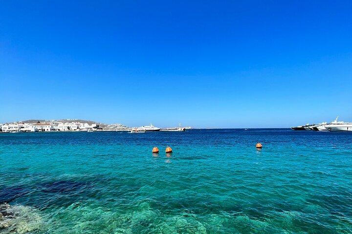 Privat 3 timmars Beach Hopping i Mykonos