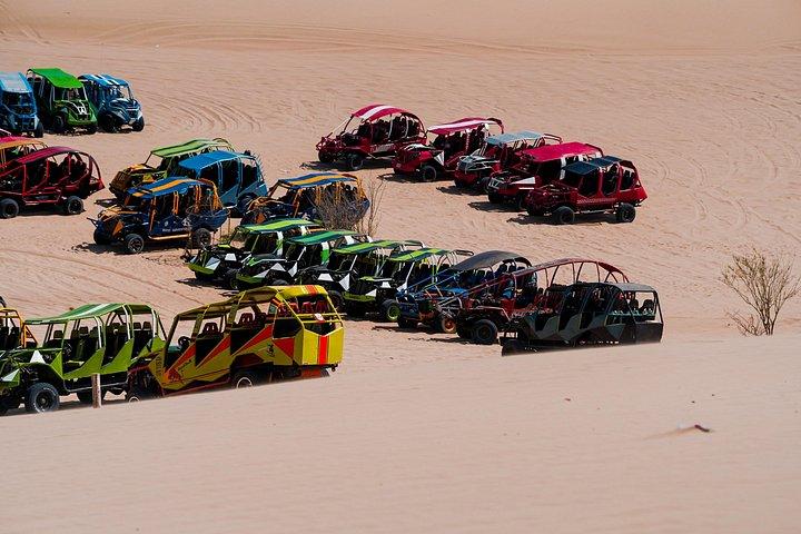 Isole Ballestas e Huacachina con Buggies e Sandboard da Lima