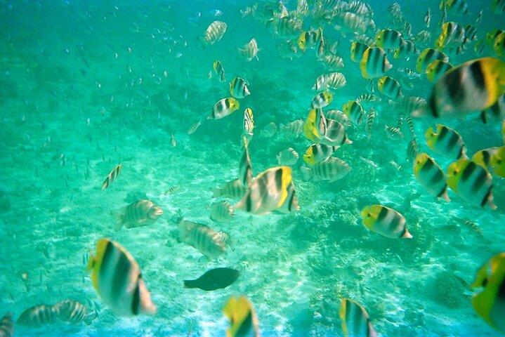 Half-Day Sailing Trip on the Lagoon of Tahiti