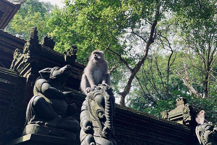 Monkey Forest, Weihwassertempel und Hot Springs Touren