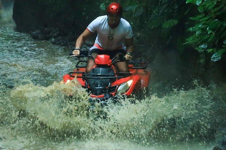 ウブドATVクワッドバイクでジャングル洞窟の田んぼを通り抜ける