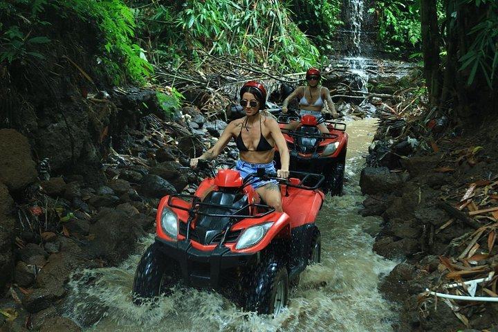 ウブドATVクワッドバイクでジャングル洞窟の田んぼを通り抜ける