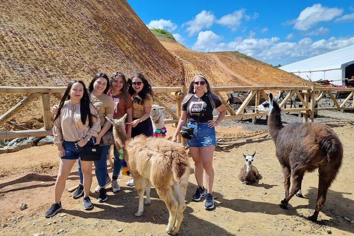 Guatape Private Tour. Farm, Boat Ride, La Piedra and more...