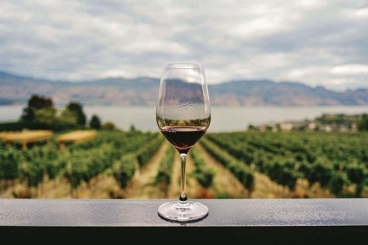 Tour privado para descubrir los vinos del Alentejo