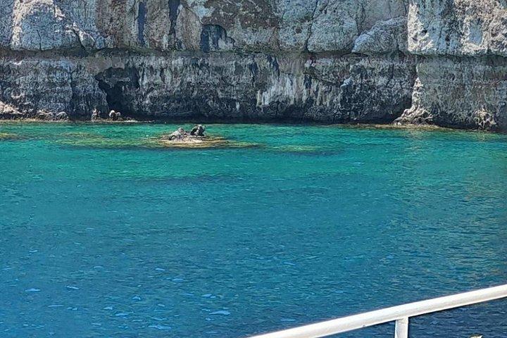 ロードス湾から湾へのスイムクルーズ - ワイン付きギリシャ料理ビュッフェ