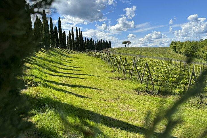 MONTALCINO Private E-Bike & Brunello Winery Experience