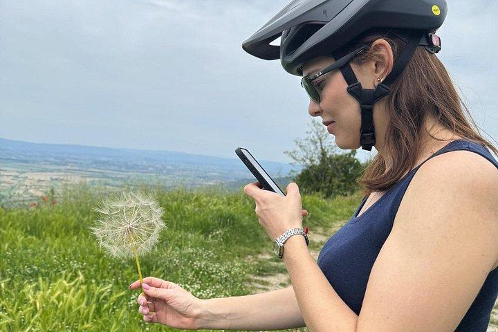 MONTALCINO Private E-Bike & Brunello Winery Experience