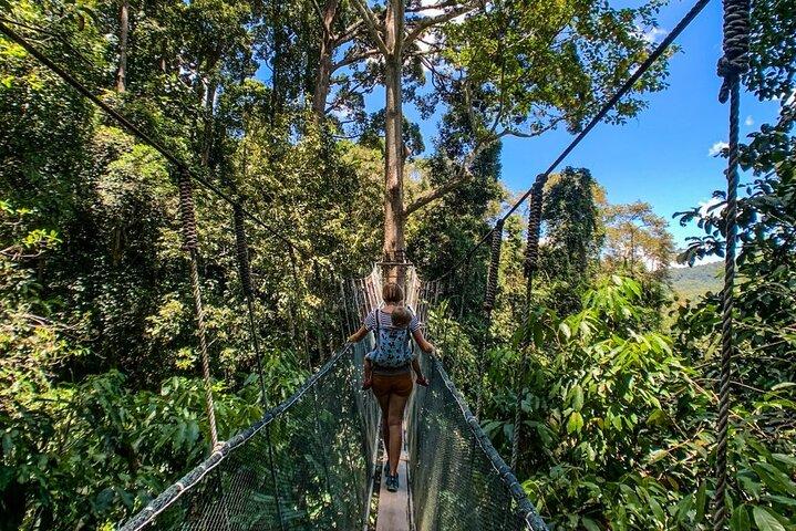Kinabalu Park Tour mit Desa Dairy Farm und Poring Hot Springs