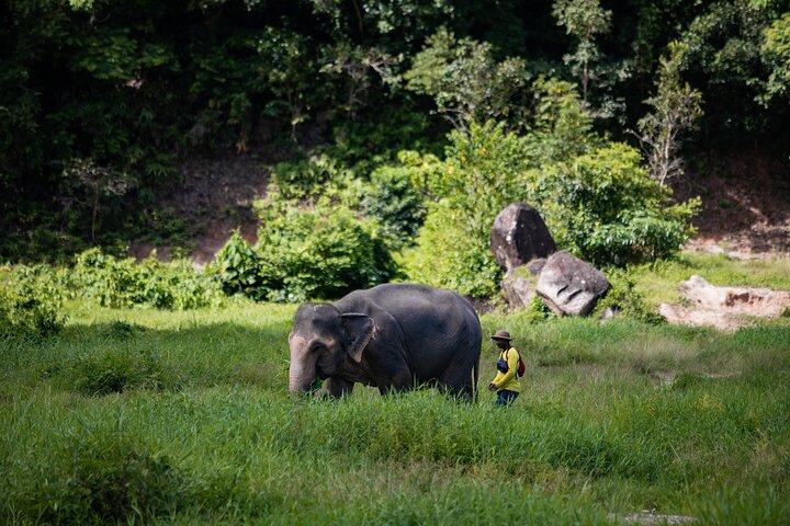 Hotell nära Bukit Elephant Park Phuket